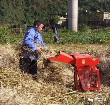 南郊乡最新交通动态报道