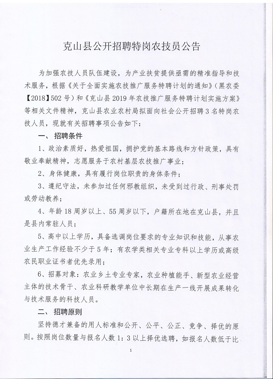 罗山县财政局最新招聘启事概览