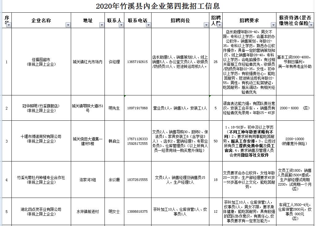 竹溪县人民政府办公室最新招聘启事概览