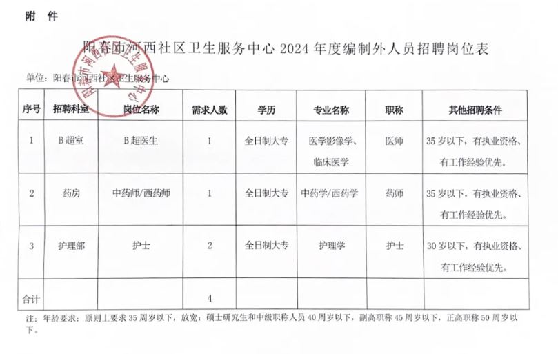 灵武市卫生健康局最新招聘全面解读