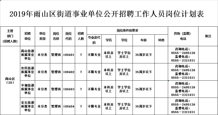 雨山区文化局招聘信息与细节深度解读公告