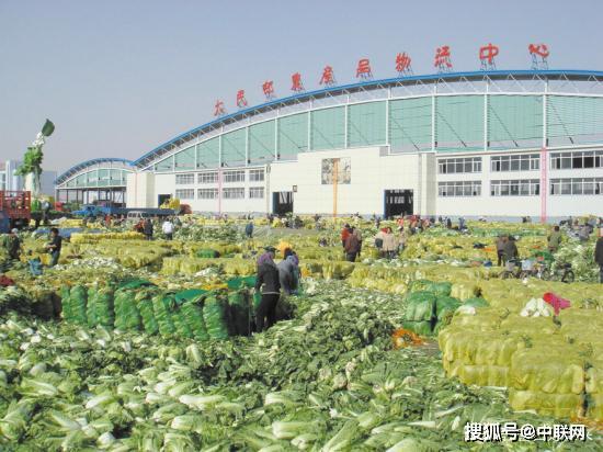 新民屯镇最新项目，地区发展的强大引擎驱动力